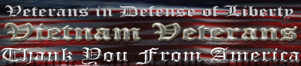 Veterans In Defense of Liberty(tm)